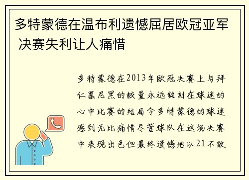 多特蒙德在温布利遗憾屈居欧冠亚军 决赛失利让人痛惜 多特蒙德在温布利遗憾屈居欧冠亚军 决赛失利让人痛惜