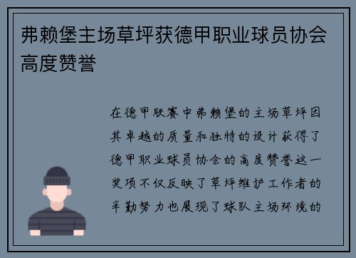 弗赖堡主场草坪获德甲职业球员协会高度赞誉 弗赖堡主场草坪获德甲职业球员协会高度赞誉